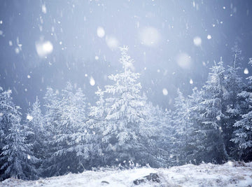 Christmas Snow Grand Fir Forest  Backdrop  For Photography IBD-24190 - iBACKDROP-chr, chri, chris, christ, christm, Christmas Backdrops, Christmas Background, fore, fores, forest, grad fir, New Arrivals, photography backdrops, snow, win, wint, winte, winter